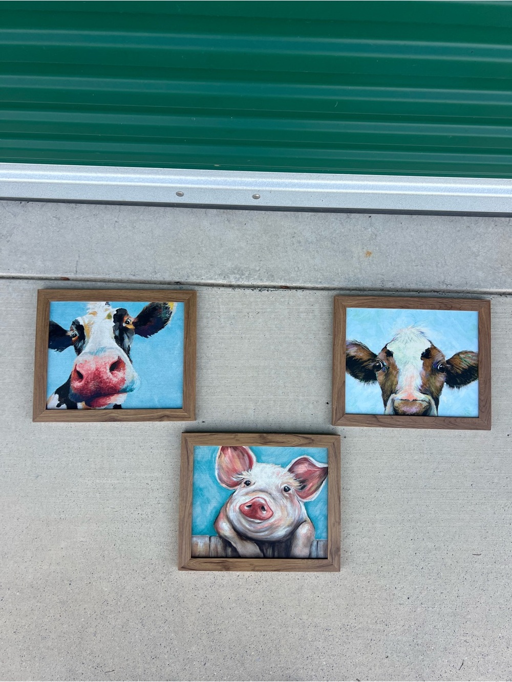 Set of 3 Rustic Farm Animal Wall Art - Cow & Pig Prints (Blue Background)